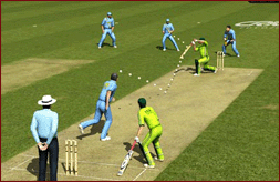 Cricket